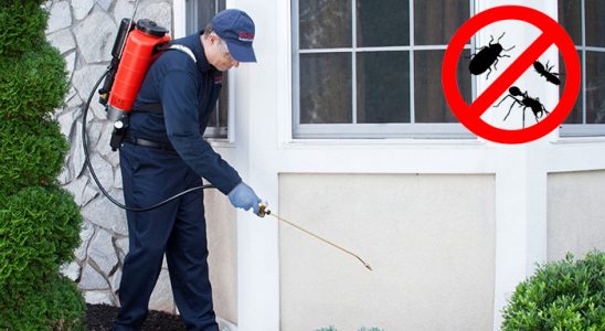 Pervari Hamam Böceği İlaçlama böcek ilaçlama ve haşere kontrolü — ilaclama-tr.com